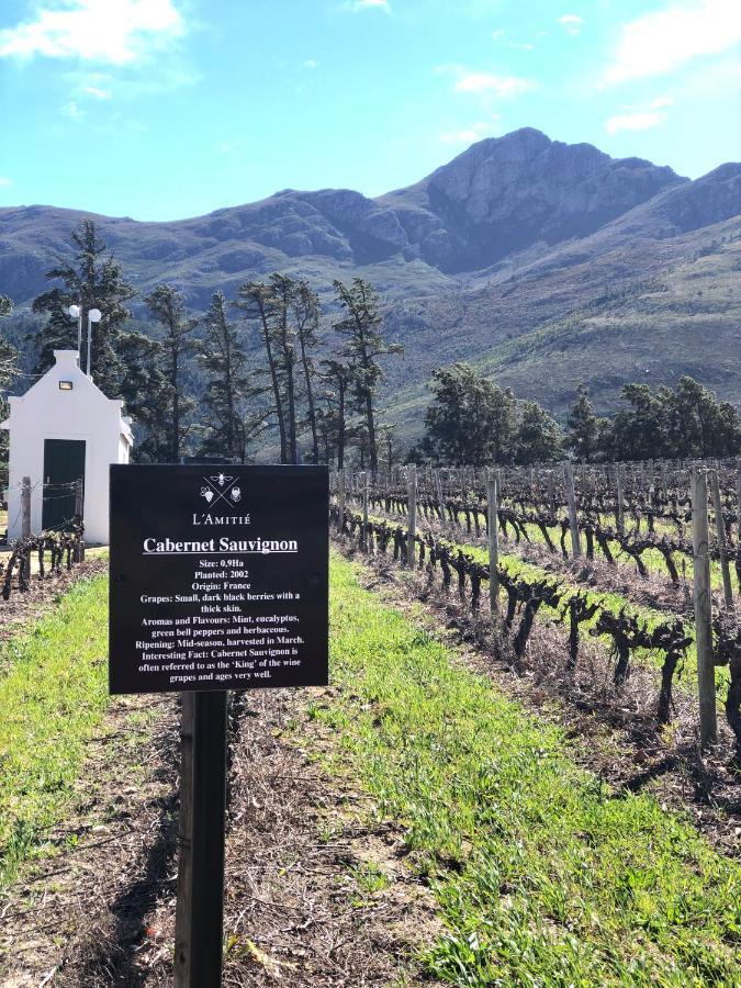 The Vineyard Cottage By L' Amitie Estate Franschhoek Exterior photo